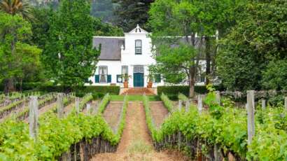Wine Farm