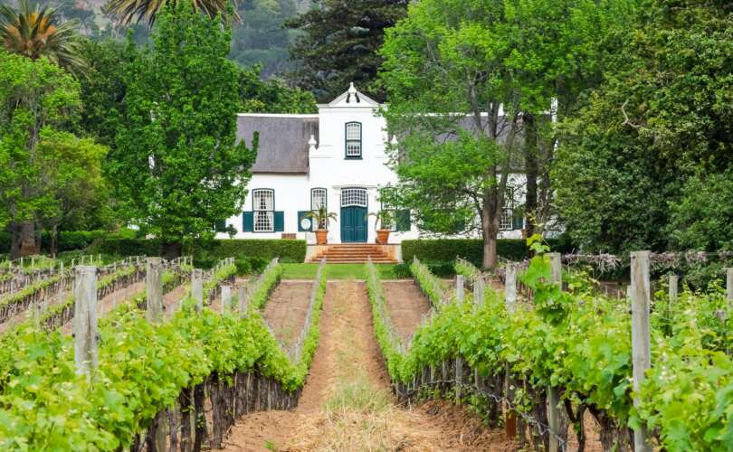 Wine Farm